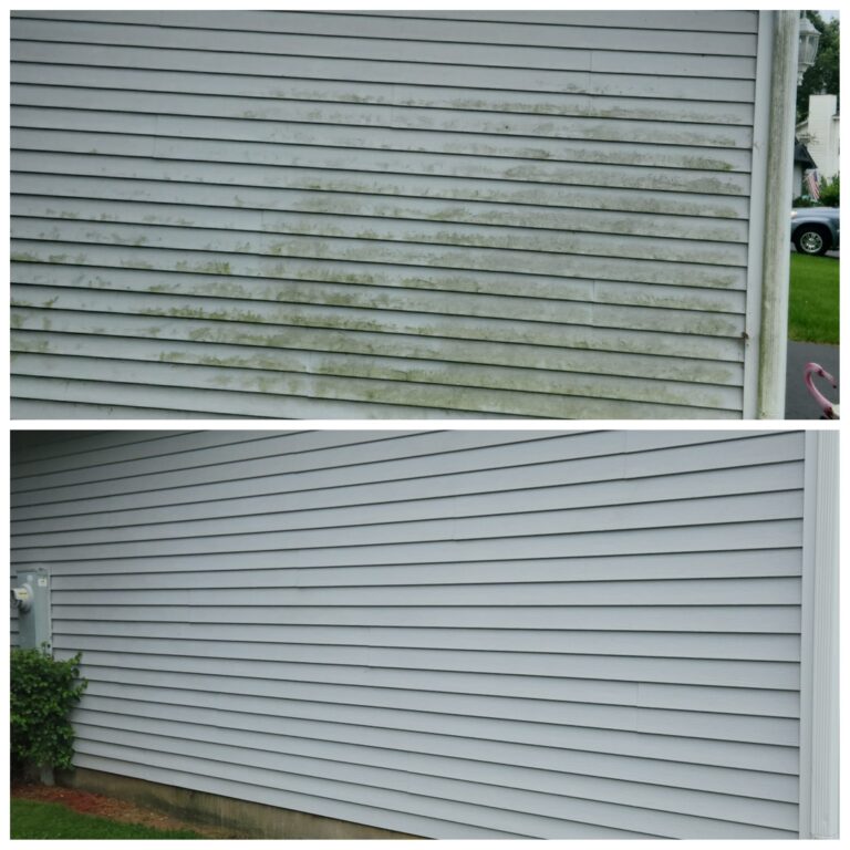 soft wash in island lake