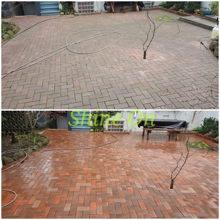 pavers cleaned